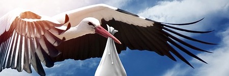 (Bijna) 52 en opnieuw geboren worden